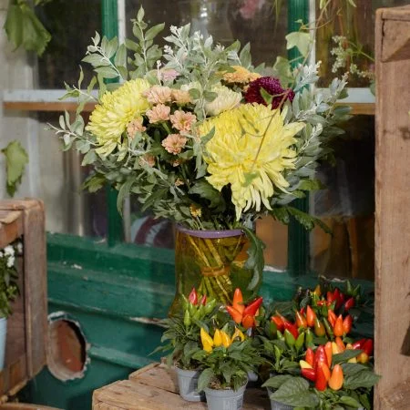 Chrysanthèmes, par Le Jardin d'Auteuil, fleuriste à Paris