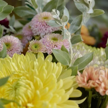 Chrysanthèmes, par Le Jardin d'Auteuil, fleuriste à Paris