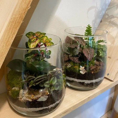 Terrarium, par Gaïa, fleuriste à Ondres